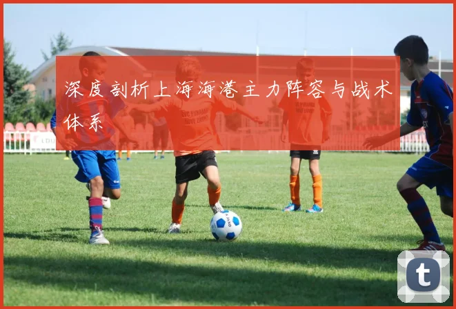 深度剖析上海海港主力阵容与战术体系