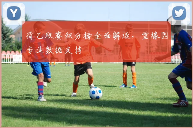 荷乙联赛积分榜全面解读,雪缘园专业数据支持