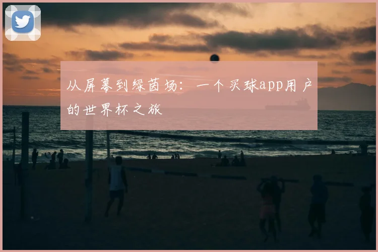 从屏幕到绿茵场：一个买球app用户的世界杯之旅