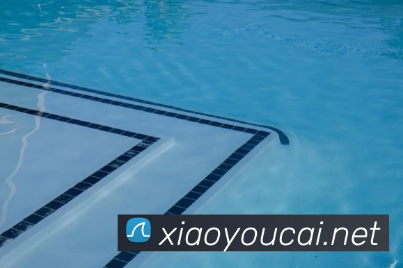 世界杯的网站APP 封面图